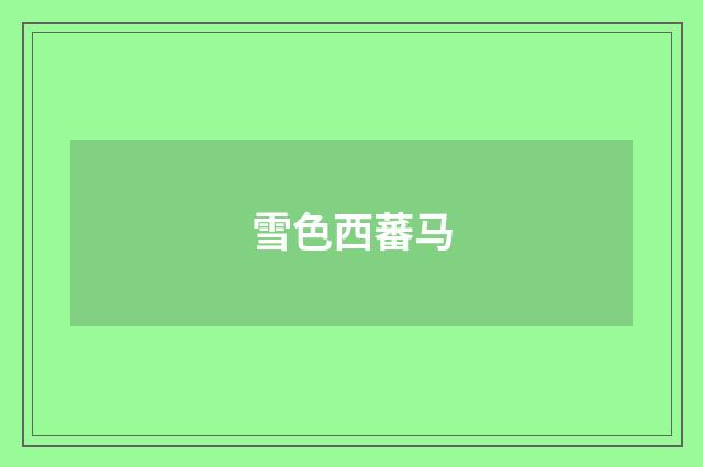 雪色西蕃马