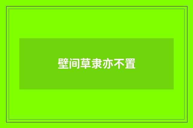 壁间草隶亦不置