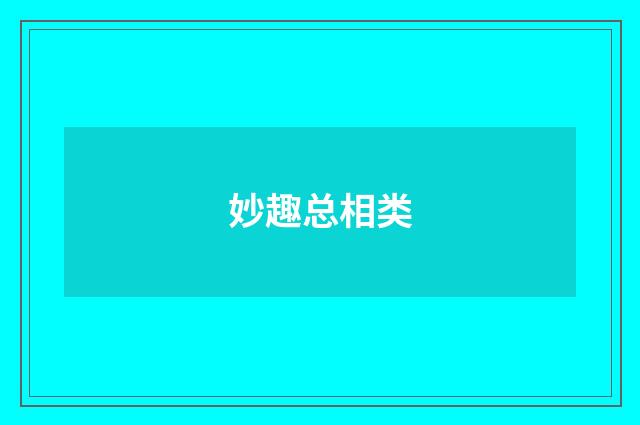 妙趣总相类