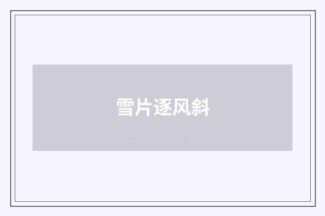 雪片逐风斜