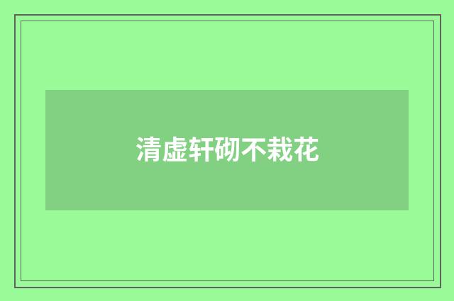 清虚轩砌不栽花