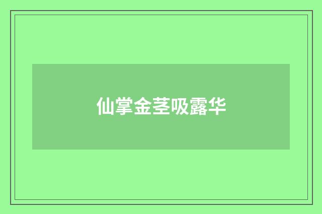 仙掌金茎吸露华