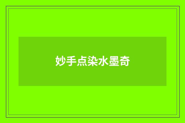 妙手点染水墨奇