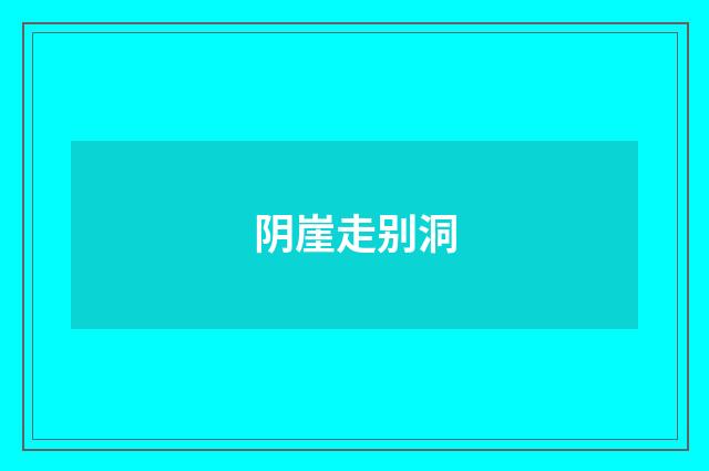 阴崖走别洞
