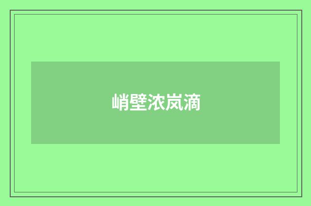 峭壁浓岚滴