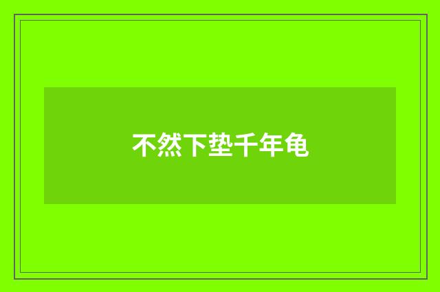 不然下垫千年龟