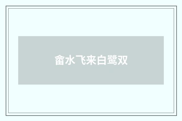畲水飞来白鹭双