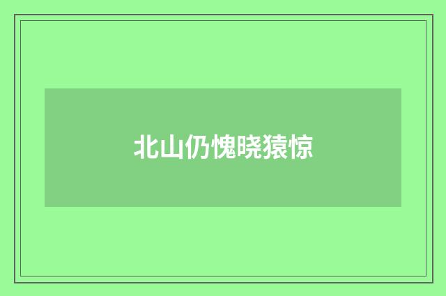 北山仍愧晓猿惊