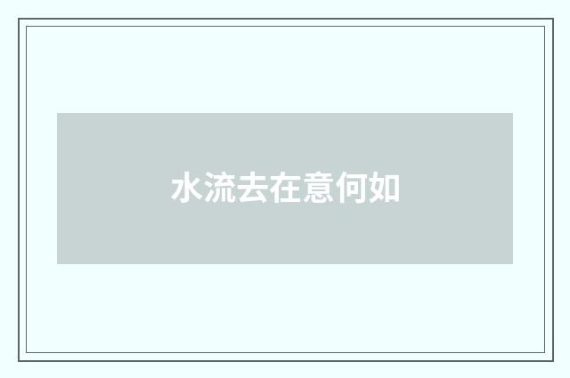 水流去在意何如