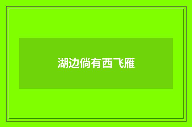 湖边倘有西飞雁