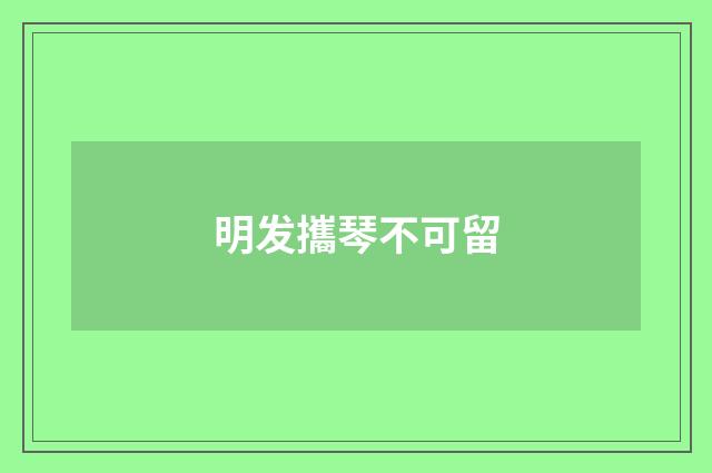明发攜琴不可留