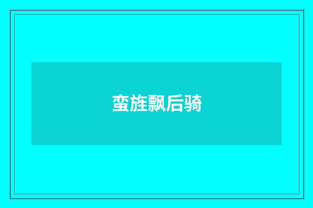 蛮旌飘后骑