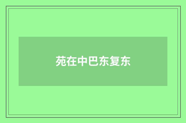 苑在中巴东复东