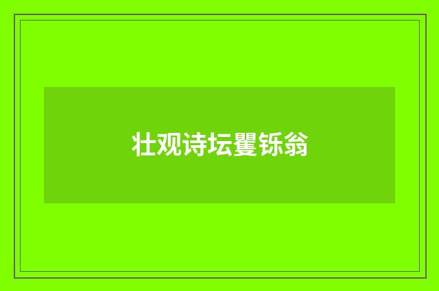壮观诗坛矍铄翁