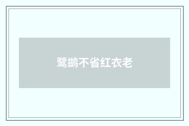 鹭鹚不省红衣老