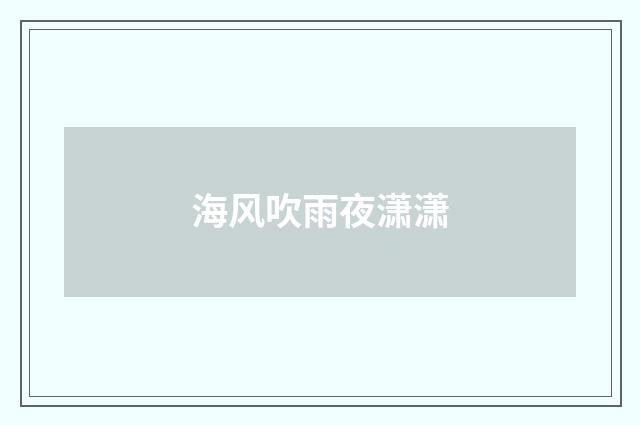 海风吹雨夜潇潇