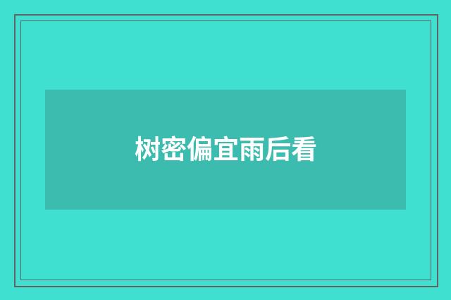 树密偏宜雨后看