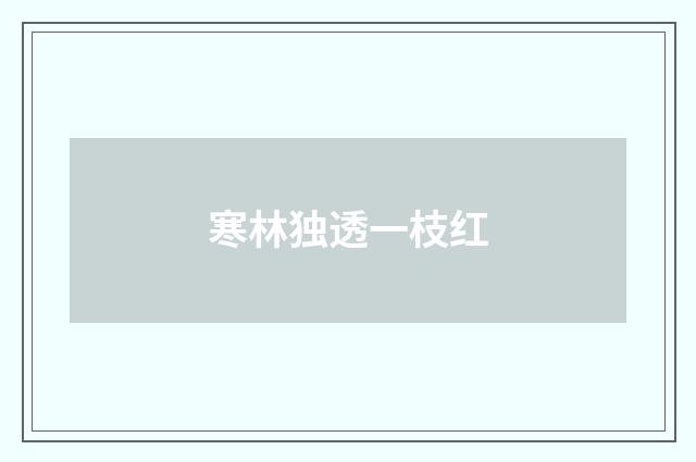 寒林独透一枝红