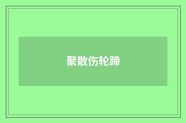 聚散伤轮蹄