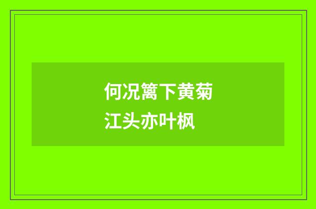 何况篱下黄菊江头亦叶枫