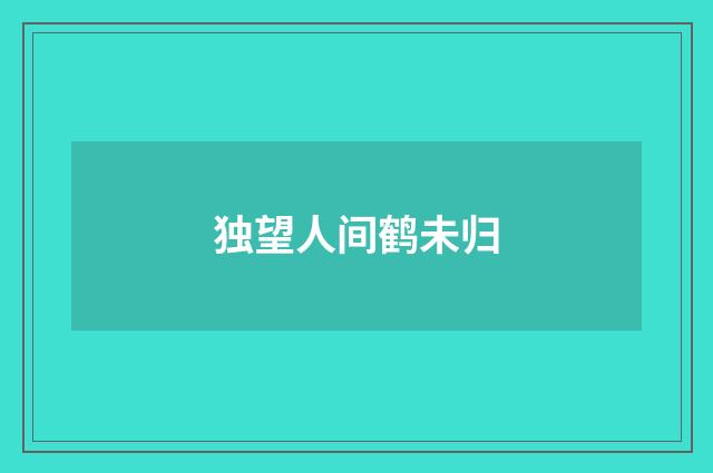 独望人间鹤未归