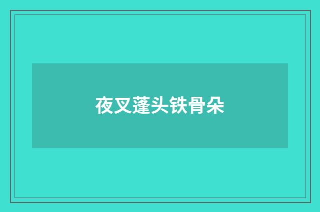 夜叉蓬头铁骨朵