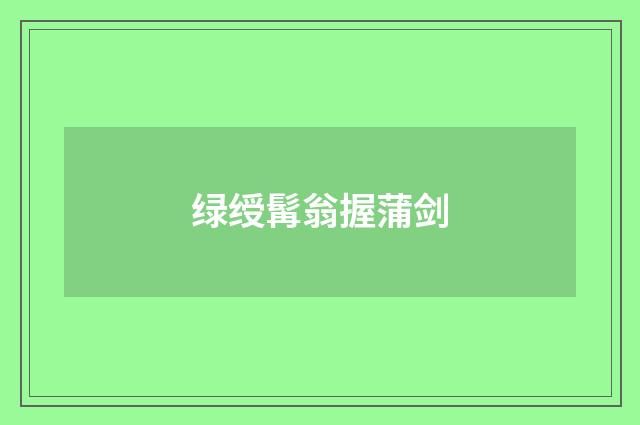 绿绶髯翁握蒲剑