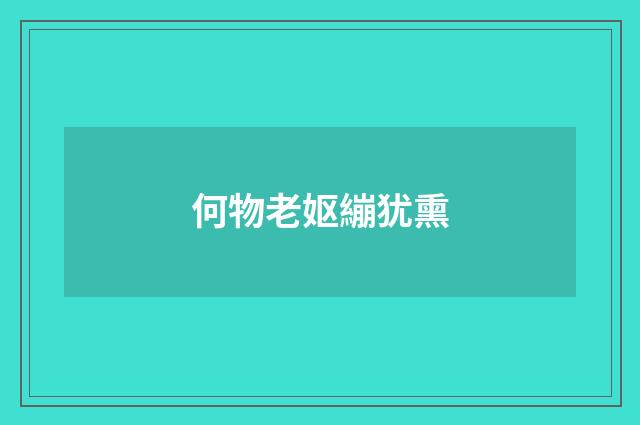 何物老妪繃犹熏