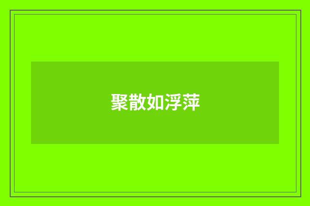 聚散如浮萍