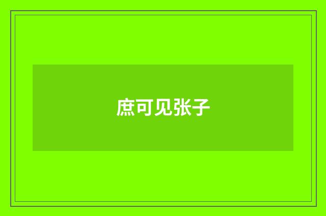 庶可见张子