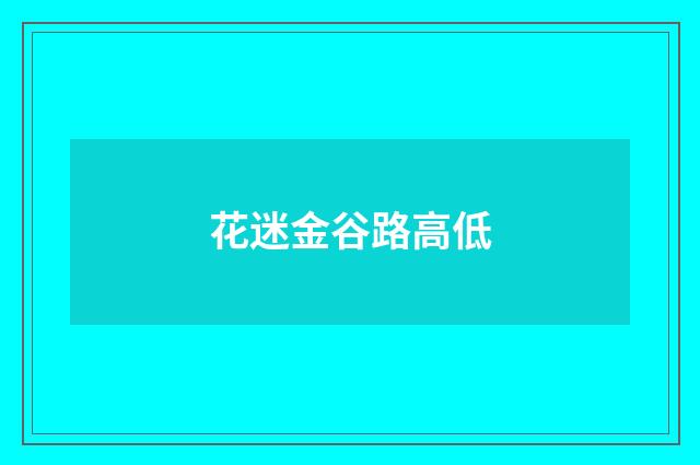 花迷金谷路高低