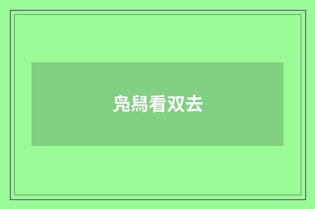 凫舄看双去