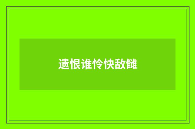 遗恨谁怜快敌雠