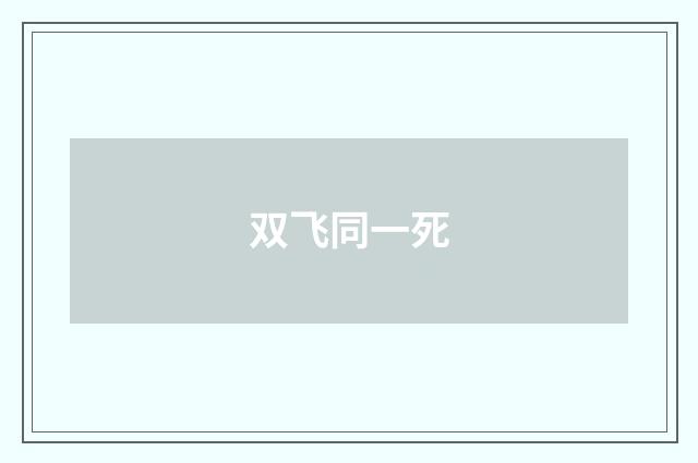 双飞同一死