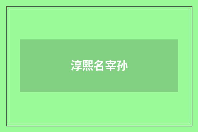 淳熙名宰孙
