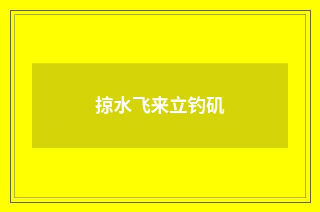 掠水飞来立钓矶