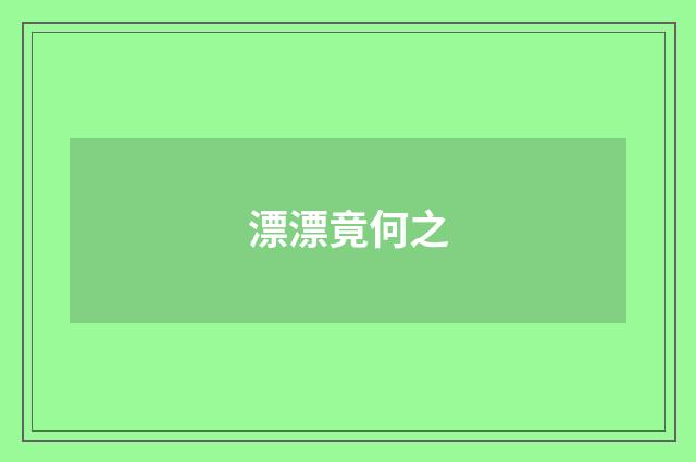 漂漂竟何之