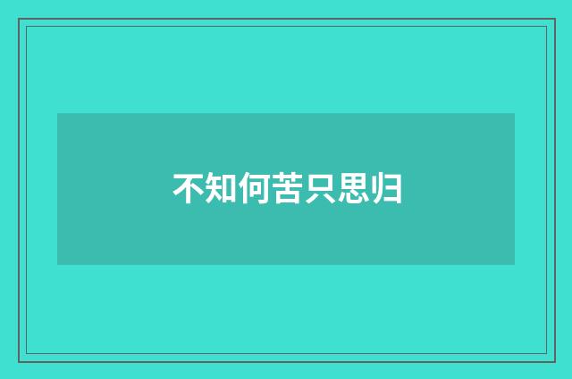 不知何苦只思归