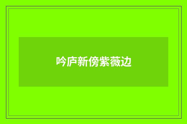 吟庐新傍紫薇边