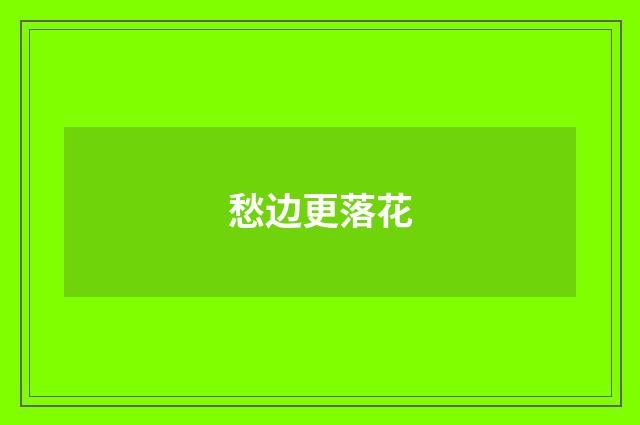 愁边更落花