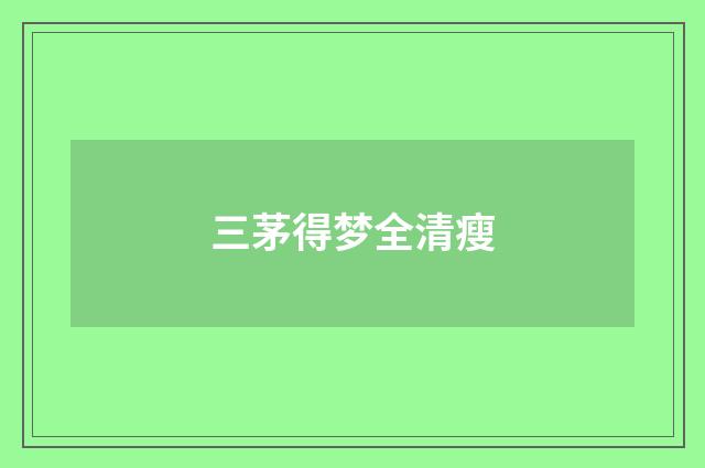 三茅得梦全清瘦