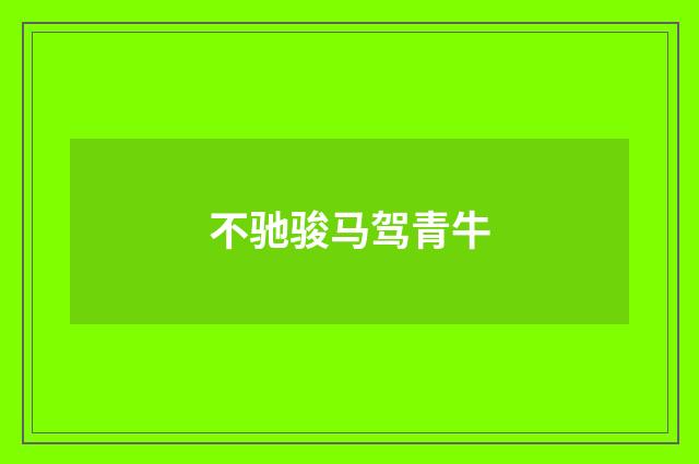不驰骏马驾青牛