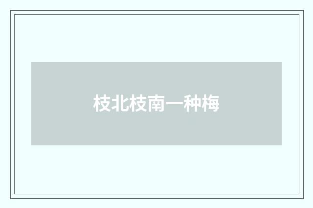 枝北枝南一种梅