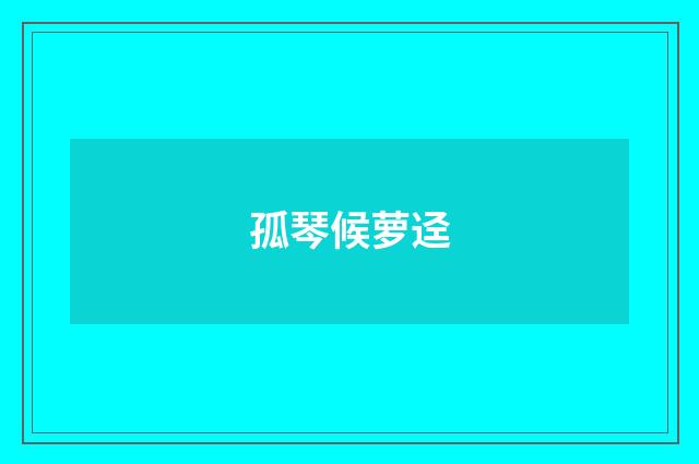 孤琴候萝迳