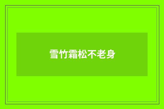 雪竹霜松不老身
