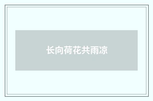 长向荷花共雨凉