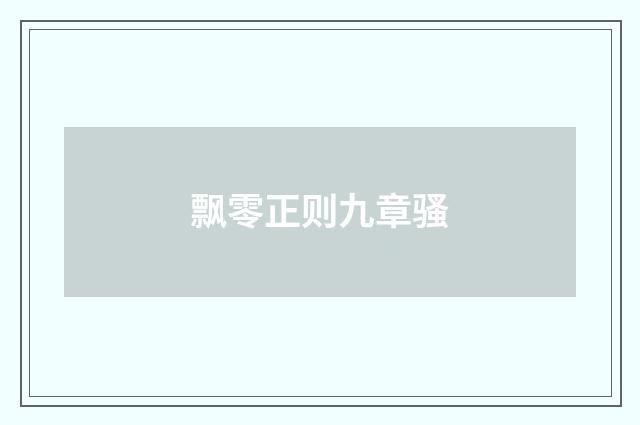 飘零正则九章骚