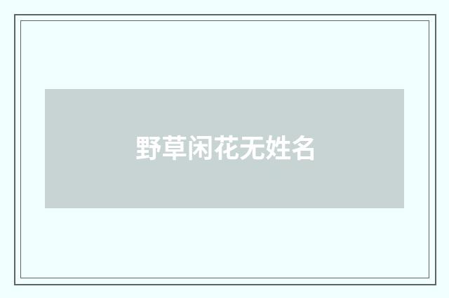 野草闲花无姓名