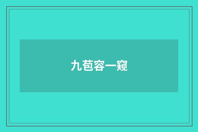 九苞容一窥