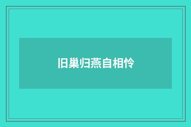 旧巢归燕自相怜